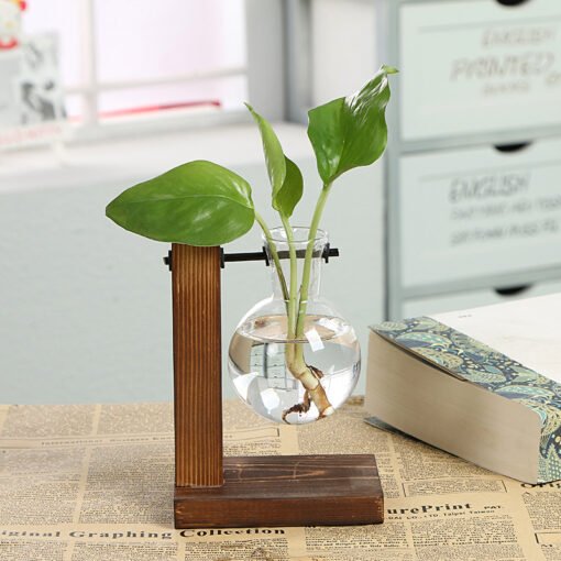 Terrarium Hydroponic Plant Vases - Image 7