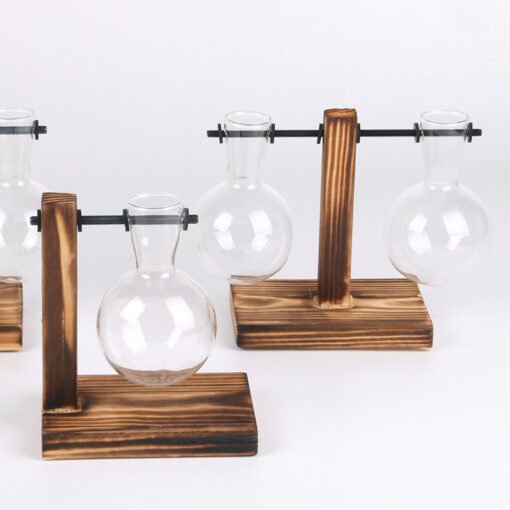 Terrarium Hydroponic Plant Vases - Image 8