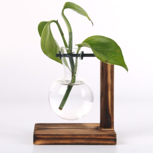 Terrarium Hydroponic Plant Vases - Image 9