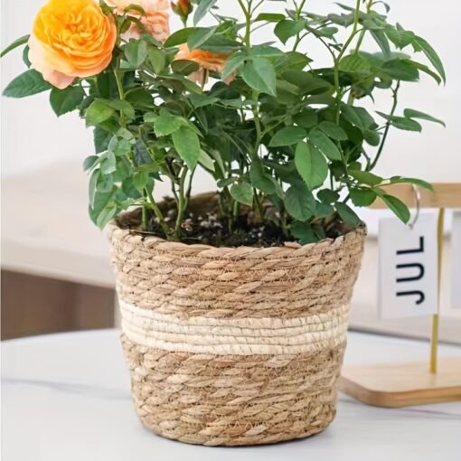 Handwoven Rattan Flower Pot