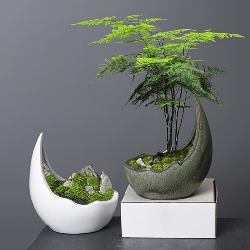 1Pc Modern Vintage Ceramic Crescent Moon Succulent Planter - Image 2