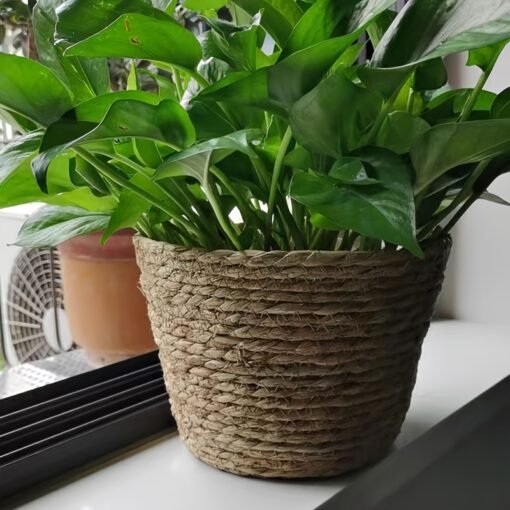 Handwoven Rattan Flower Pot - Image 2