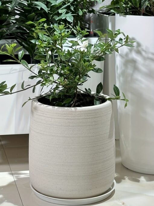Large Ceramic Planter with Drainage Hole - Image 12