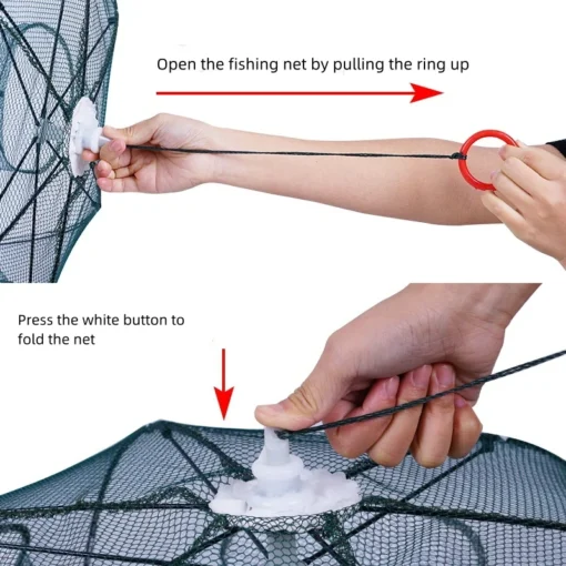 24/20/16/12/10/8/6/4 Holes Portable Fishing Net - Image 3