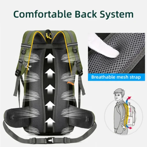 50L Travel Backpack - Image 3