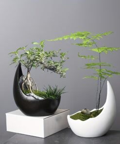 1Pc Modern Vintage Ceramic Crescent Moon Succulent Planter