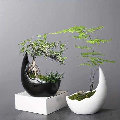 1Pc Modern Vintage Ceramic Crescent Moon Succulent Planter