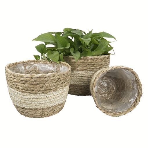 Handwoven Rattan Flower Pot - Image 4
