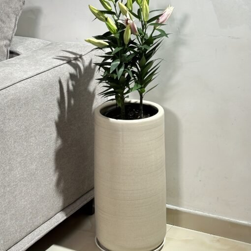 Large Ceramic Planter with Drainage Hole - Image 4