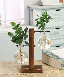Terrarium Hydroponic Plant Vases