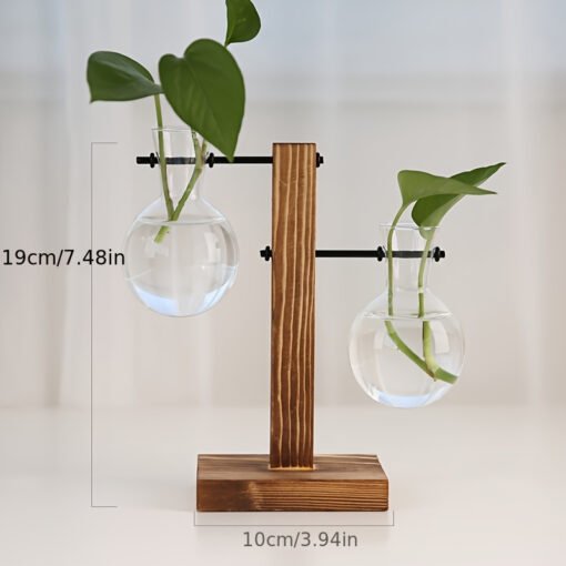 Terrarium Hydroponic Plant Vases - Image 4