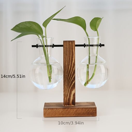Terrarium Hydroponic Plant Vases - Image 6