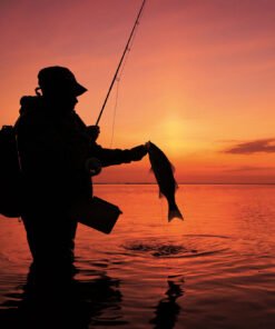 Fishing